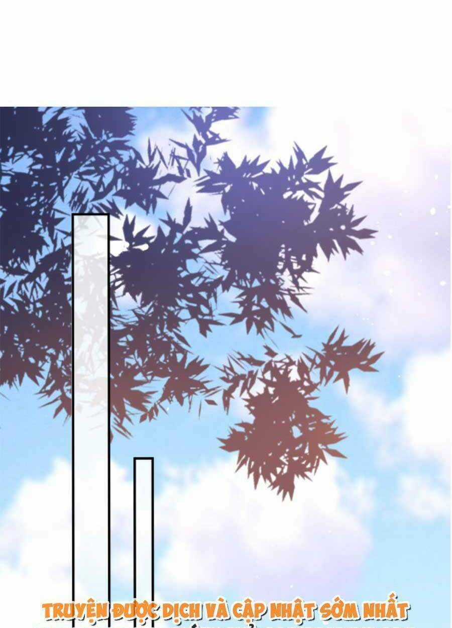 Bạch Nguyệt Quang Lạm Quyền Của Sủng Hậu Chapter 68 trang 4