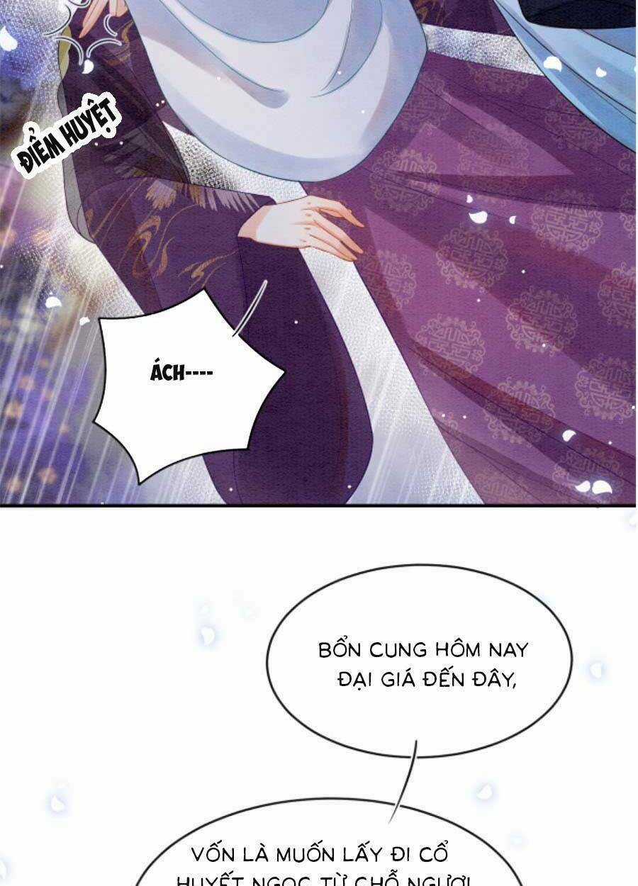 Bạch Nguyệt Quang Lạm Quyền Của Sủng Hậu Chapter 69 trang 5