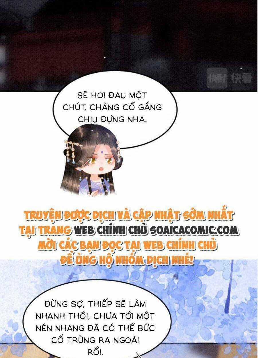 Bạch Nguyệt Quang Lạm Quyền Của Sủng Hậu Chapter 73 trang 30