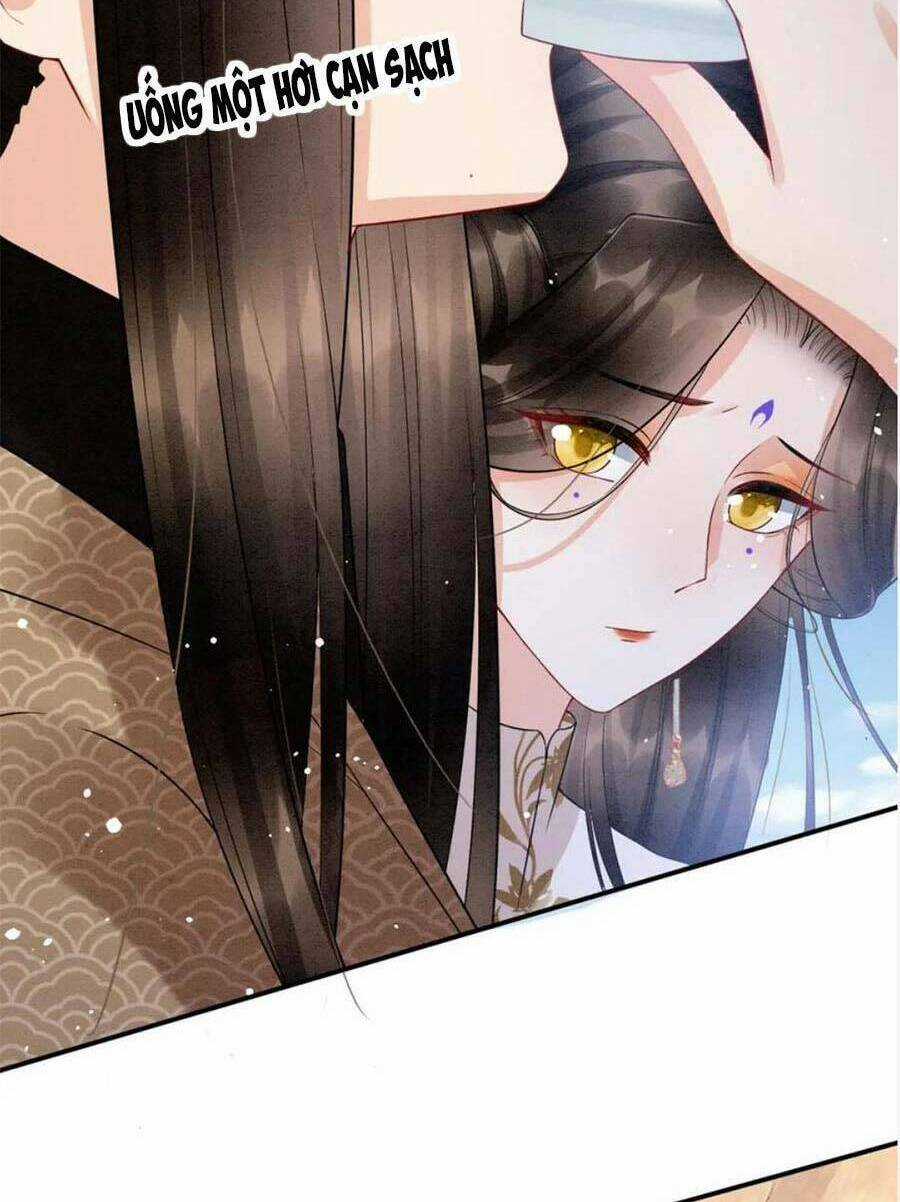 Bạch Nguyệt Quang Lạm Quyền Của Sủng Hậu Chapter 80 trang 42