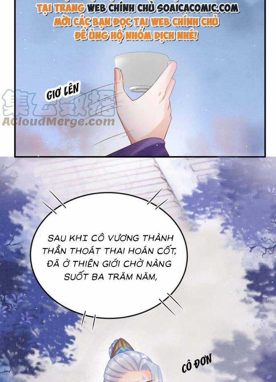 Bạch Nguyệt Quang Lạm Quyền Của Sủng Hậu Chapter 82 trang 49