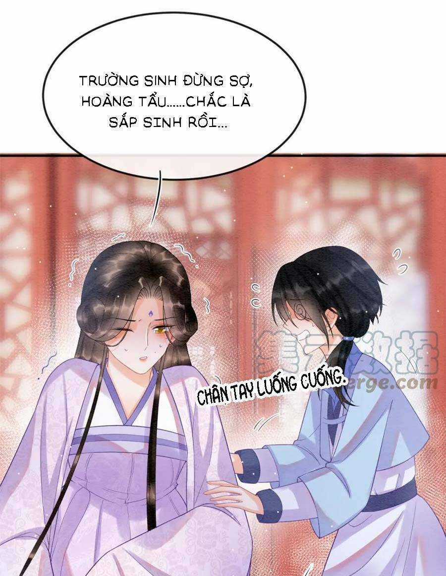 Bạch Nguyệt Quang Lạm Quyền Của Sủng Hậu Chapter 83 trang 13