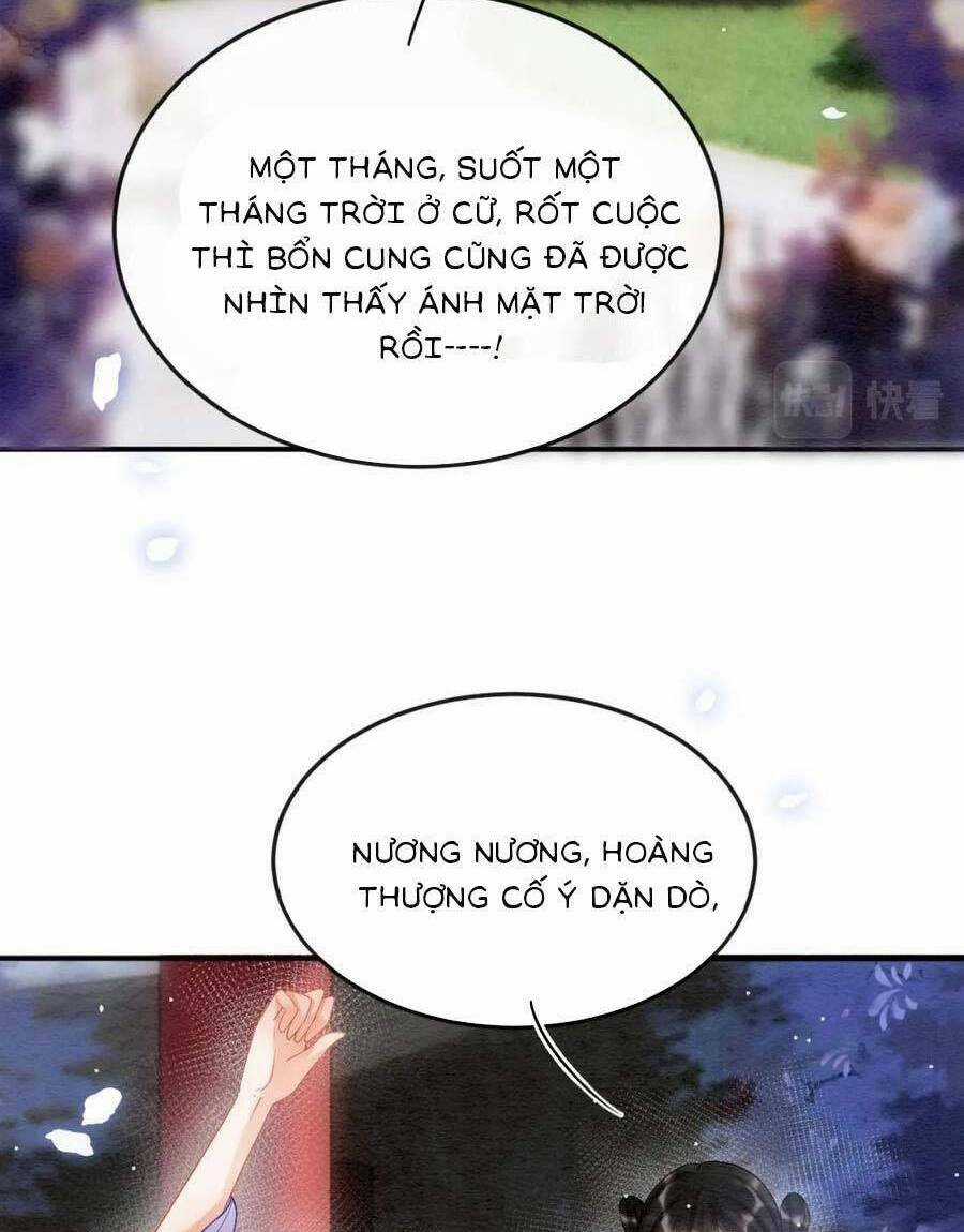 Bạch Nguyệt Quang Lạm Quyền Của Sủng Hậu Chapter 84 trang 3