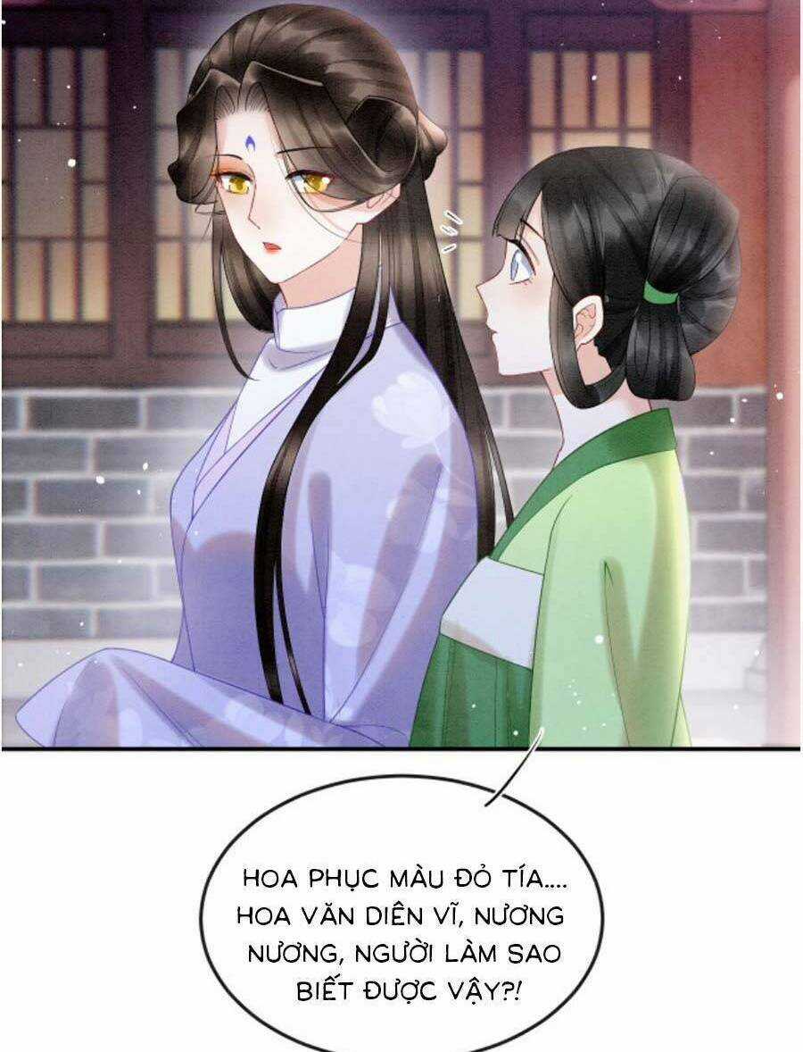 Bạch Nguyệt Quang Lạm Quyền Của Sủng Hậu Chapter 85 trang 20