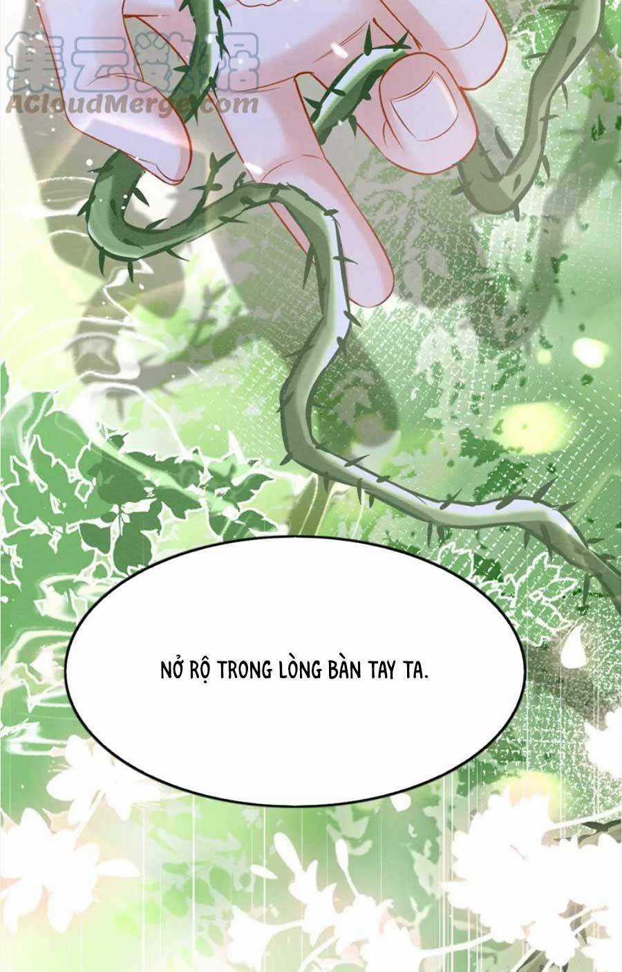 Bạch Nguyệt Quang Lạm Quyền Của Sủng Hậu Chapter 95 trang 24