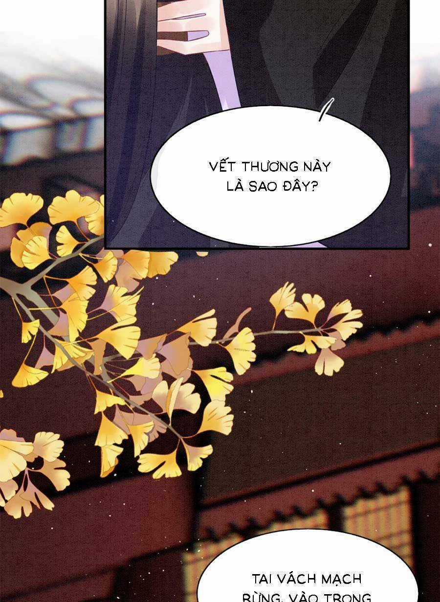 Bạch Nguyệt Quang Lạm Quyền Của Sủng Hậu Chapter 98 trang 4