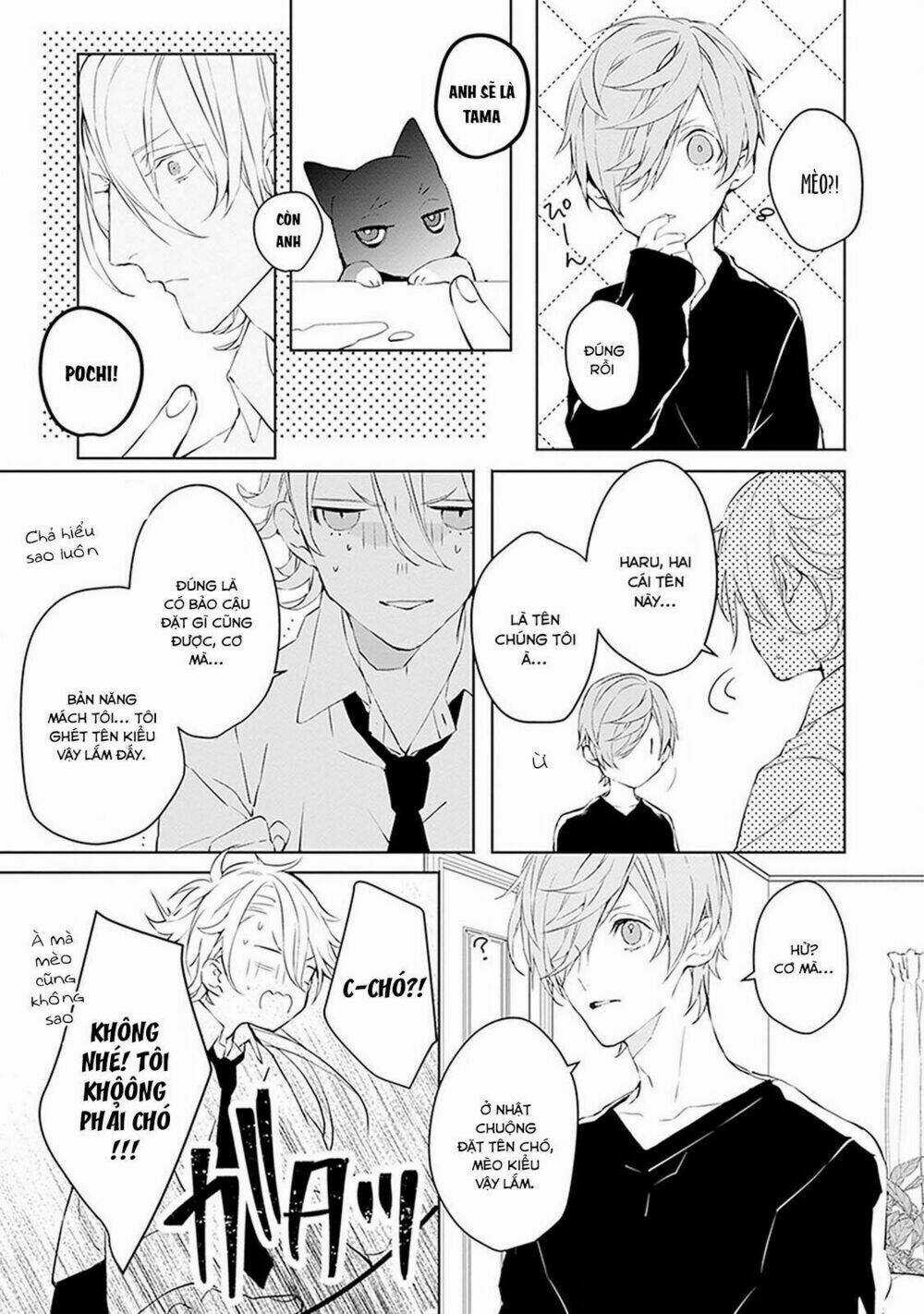 Ballad X Opera Chapter 2 trang 11
