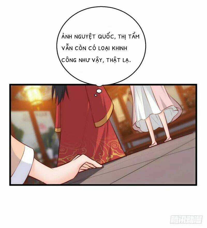 Bẩm Báo Công Chúa ! Chapter 28 trang 4