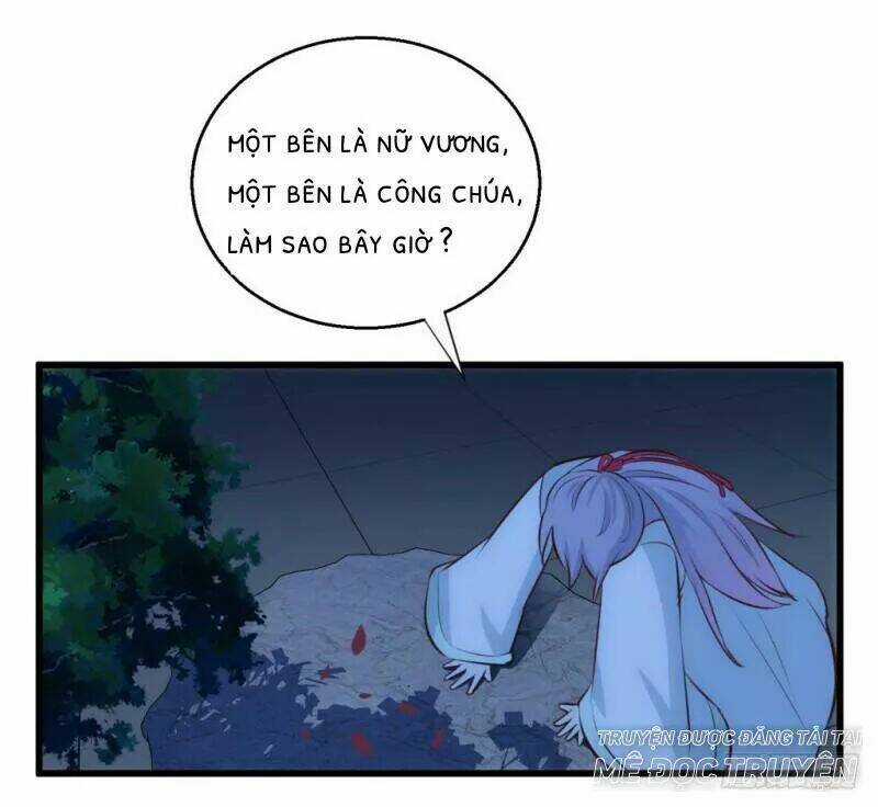 Bẩm Báo Công Chúa ! Chapter 29 trang 5