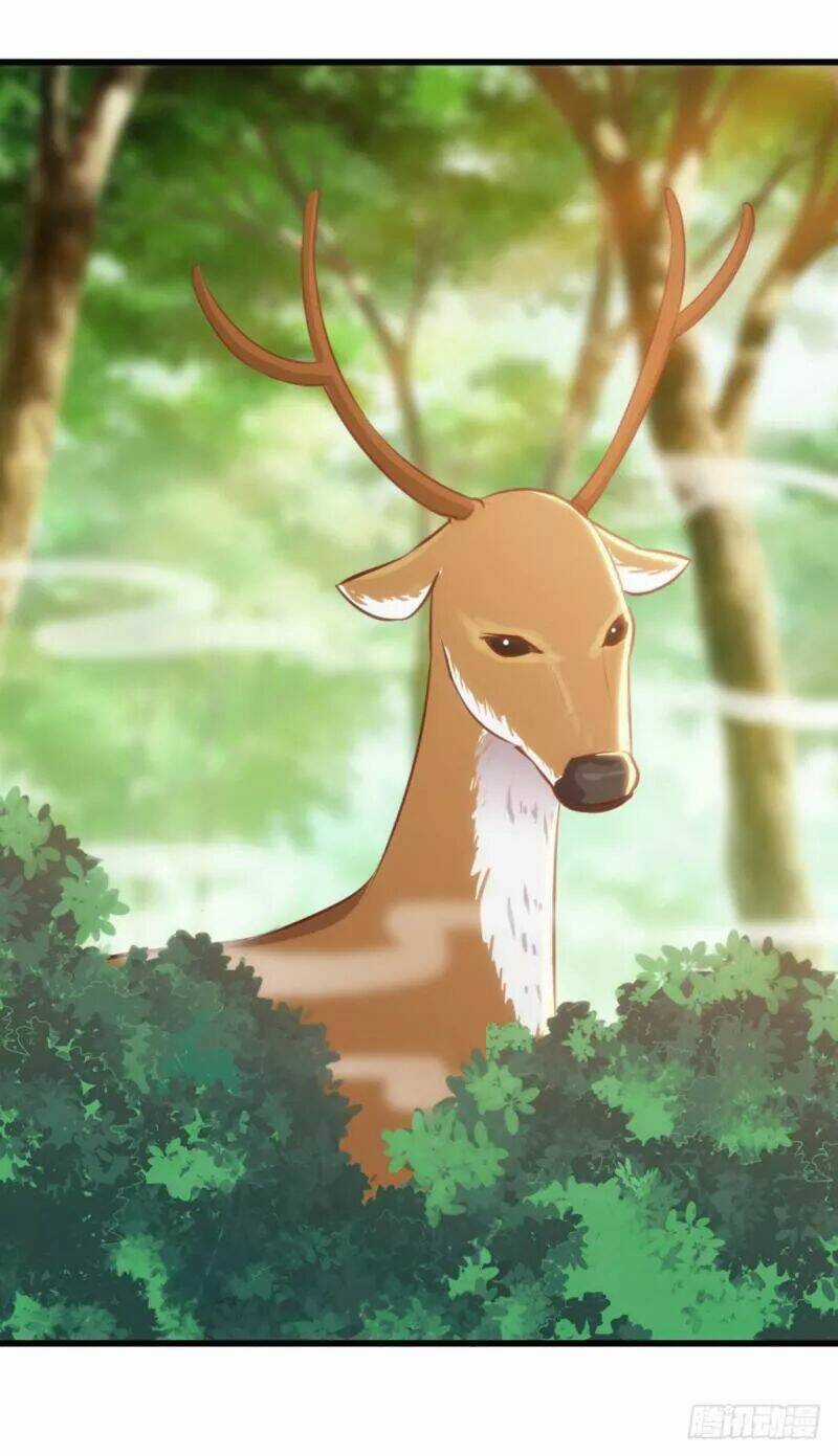 Bẩm Báo Công Chúa ! Chapter 39 trang 32