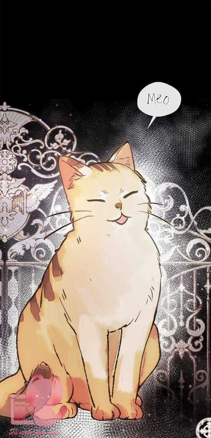 Bạn Bè Với Nhau Không Phải Vậy Đâu Chapter 48 trang 6