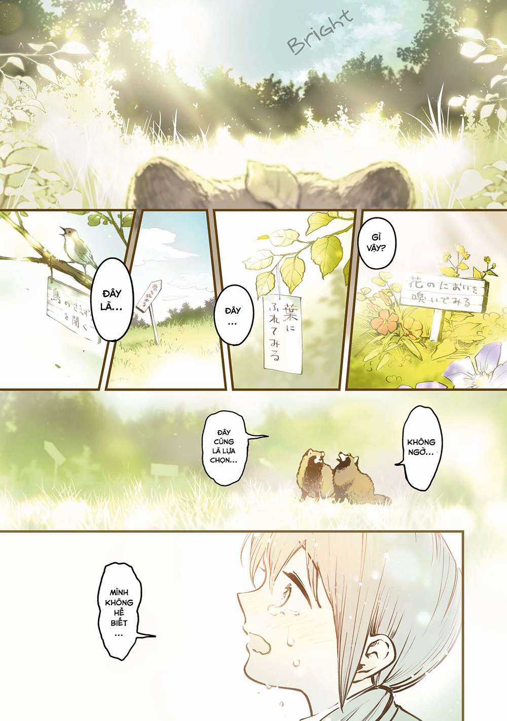 Bạn có muốn làm Tanuki không? Chapter 10.5 trang 7