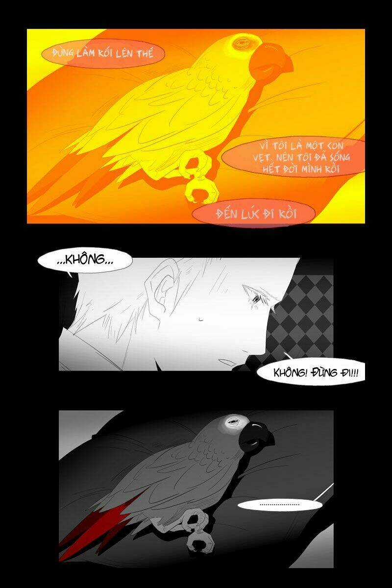 Bạn Có Tin Vào Ma Thuật? Chapter 16 trang 11