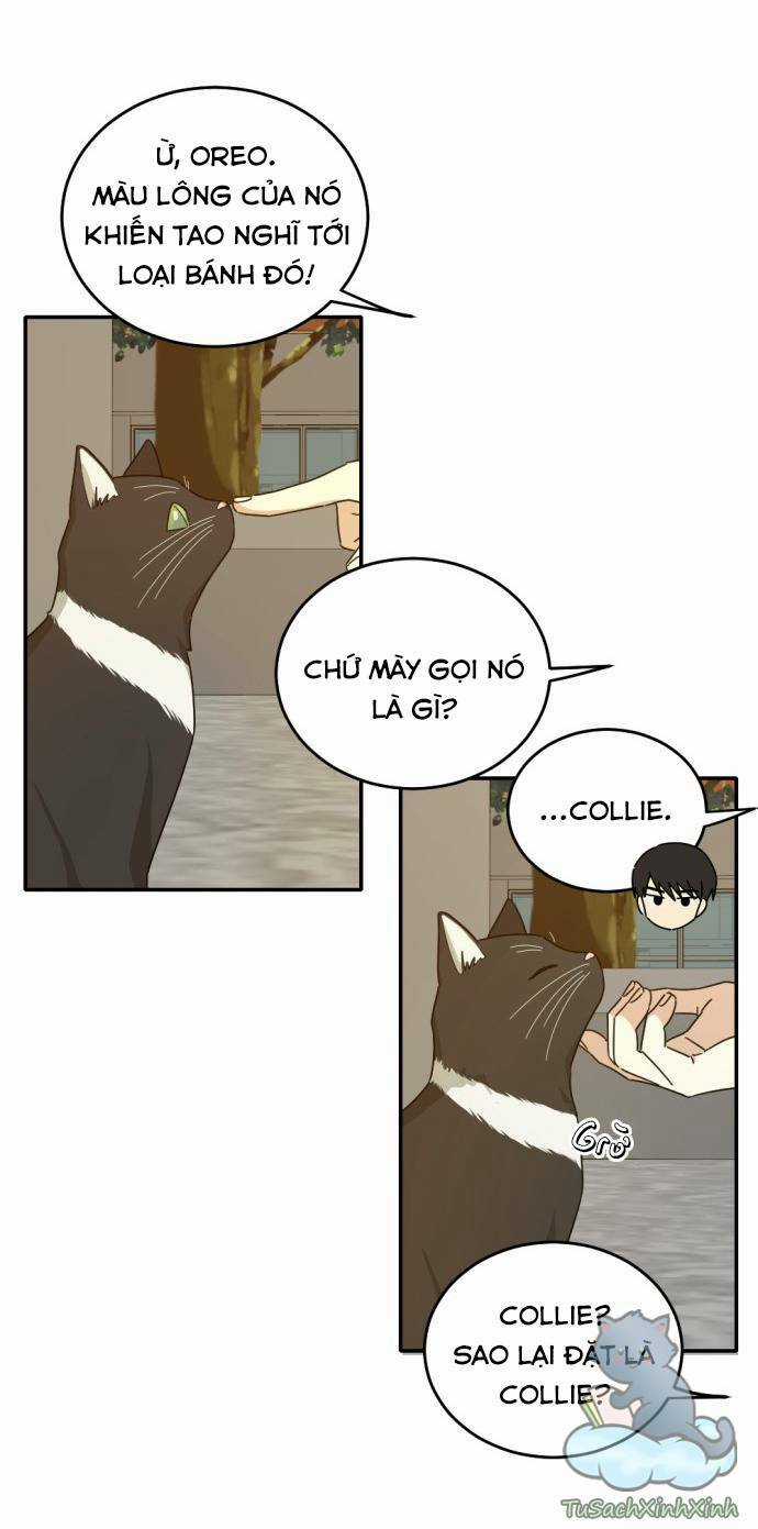 Bạn Của Em Trai Chapter 8 trang 5