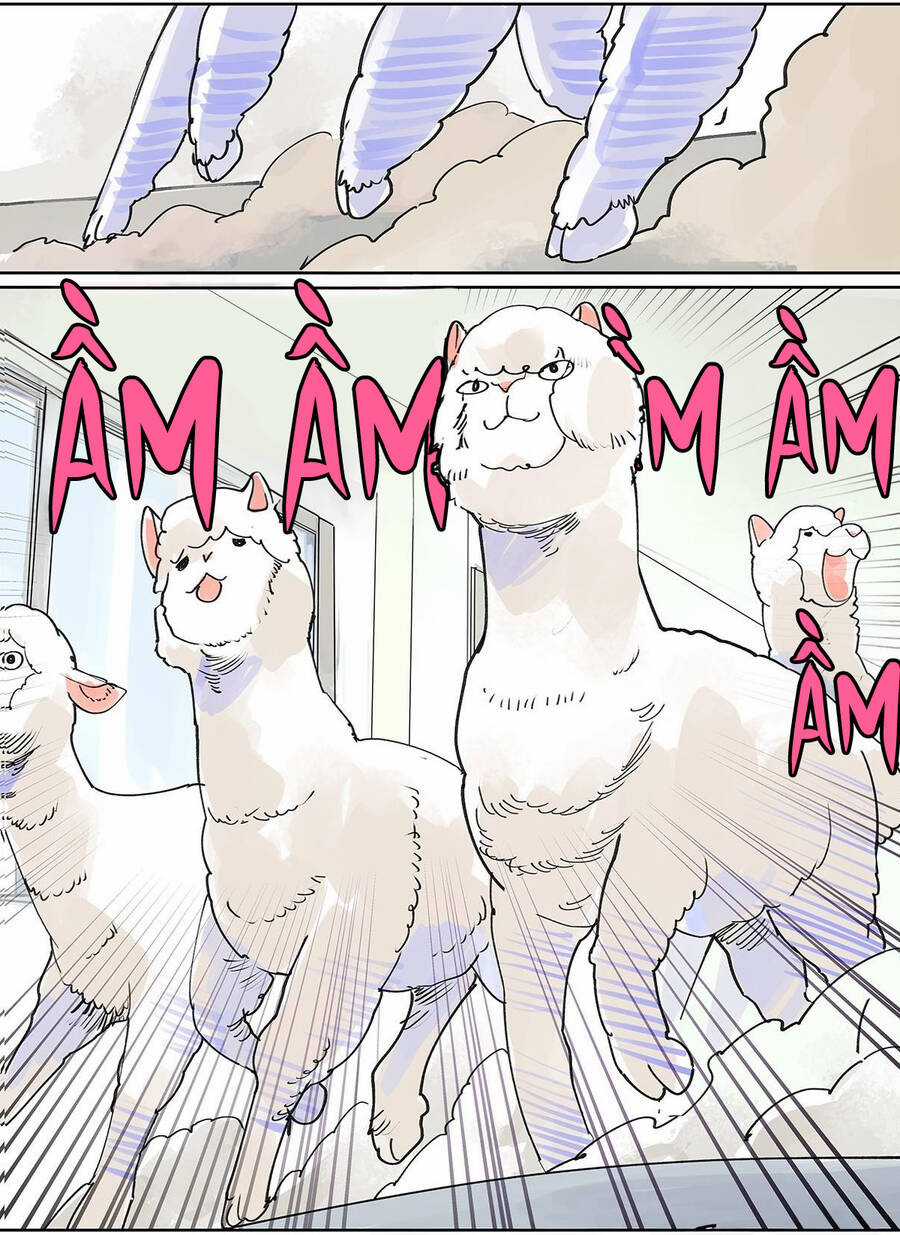 Bạn Cùng Lớp Tôi Đều Kỳ Lạ Chapter 49 trang 17