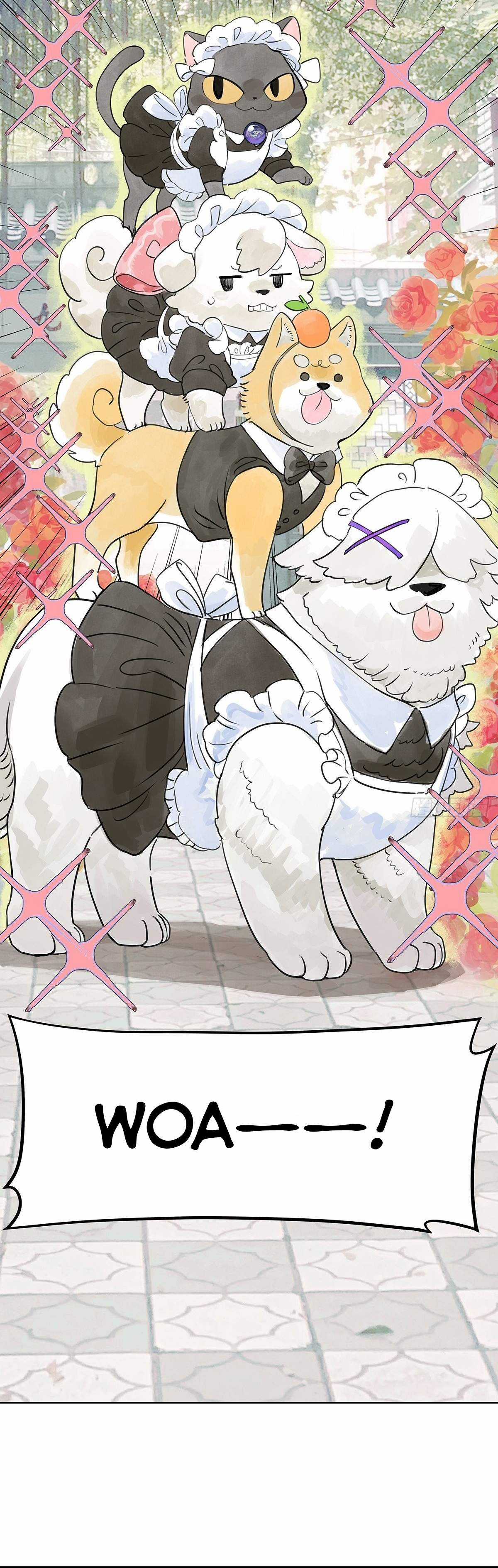 Bạn cùng lớp tôi thật kỳ lạ Chapter 55 trang 47