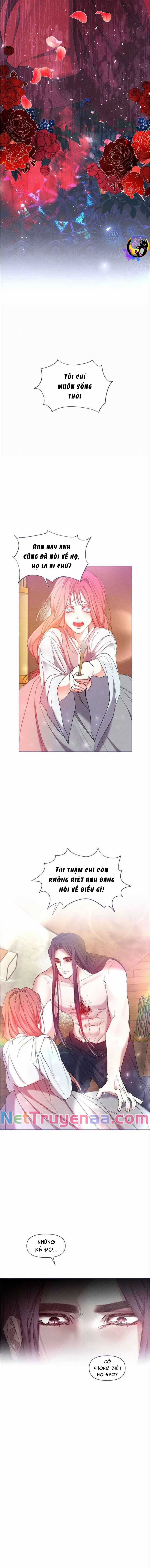 Bạn Đồng Hành Của Ryun Chapter 4 trang 5