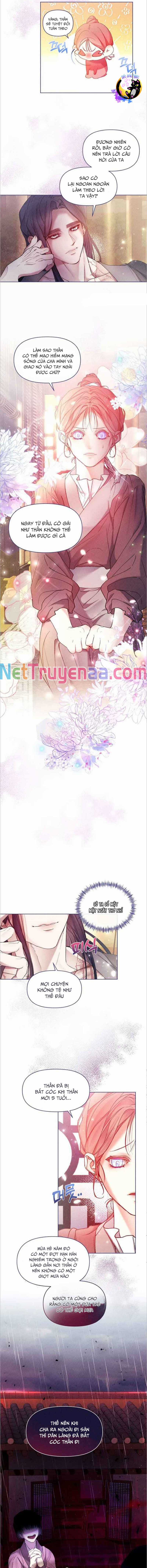 Bạn Đồng Hành Của Ryun Chapter 6 trang 5