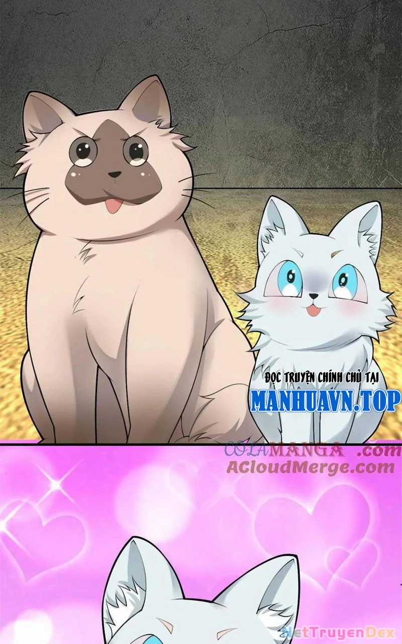 Bạn Gái Tôi Là Một Đại Tiểu Thư Xấu Xa Sao? Chapter 84 trang 24