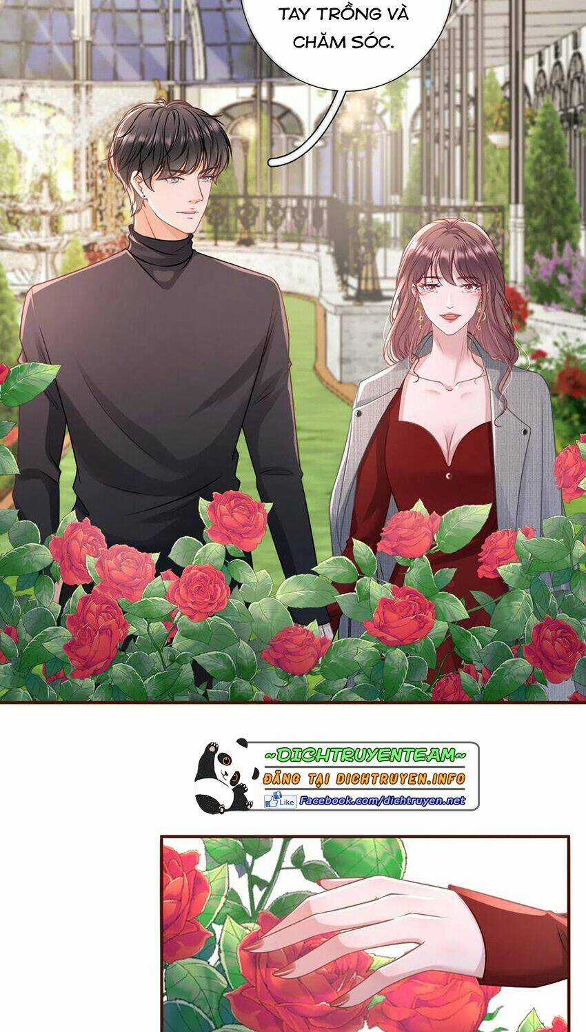 Bạn Gái Tôi Mới 30+ Chapter 109 trang 17