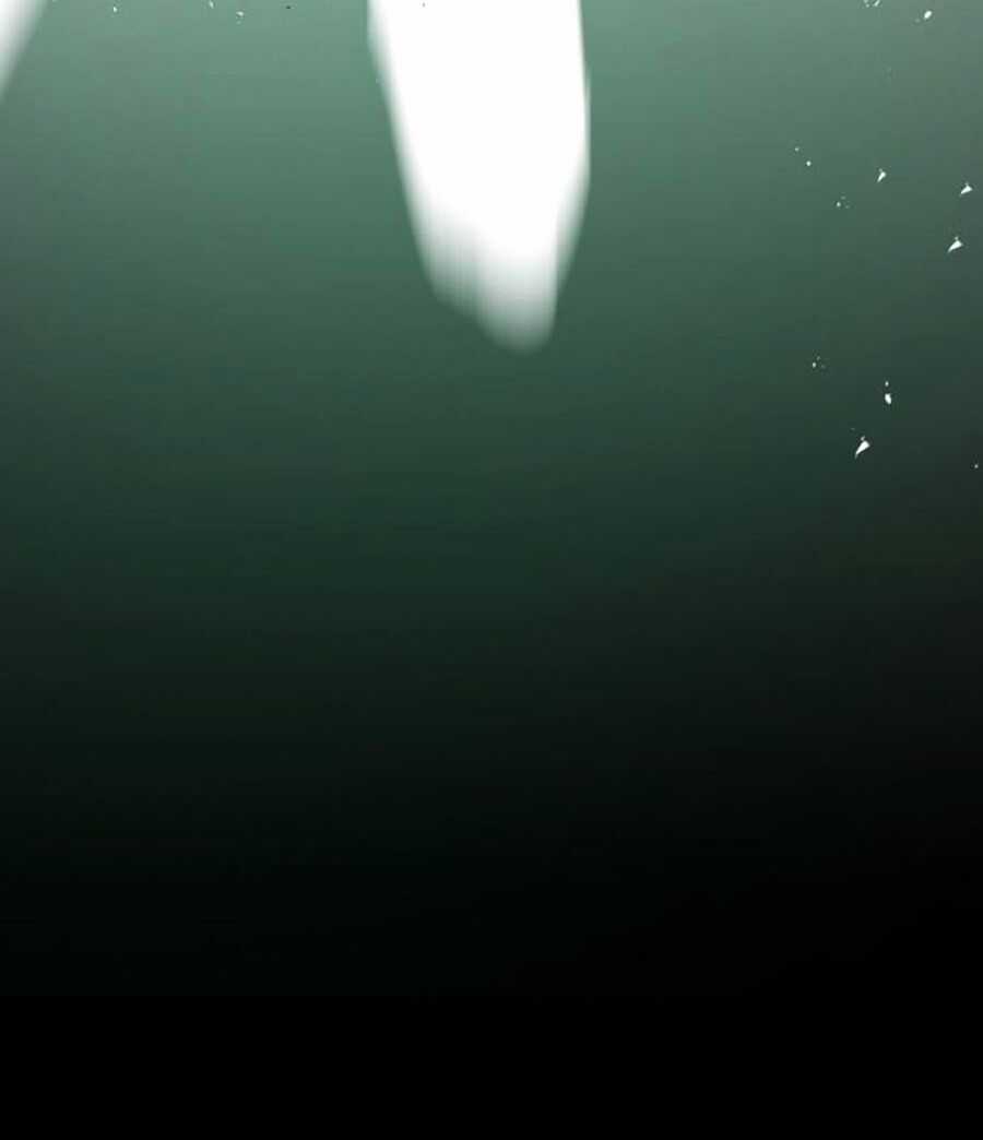 Bạn Học Của Tôi Là Lính Đánh Thuê Chương 0 trang 115