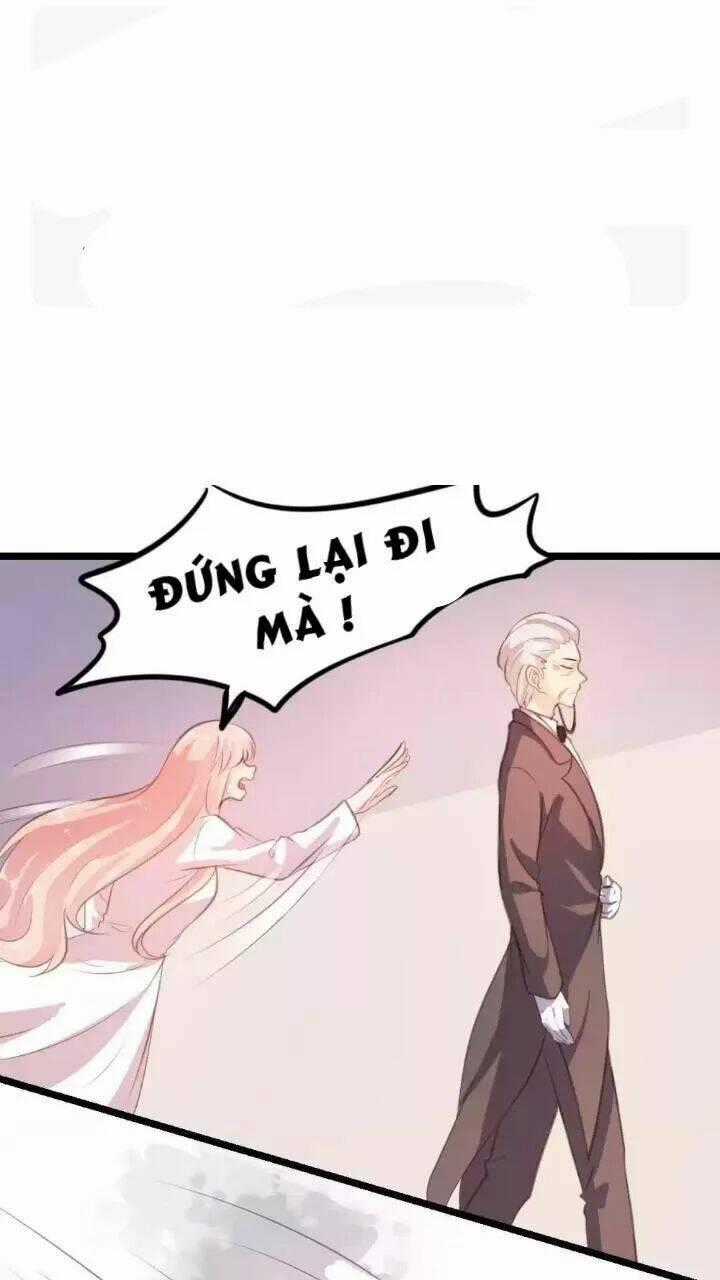 Bản Hợp Đồng Của Tổng Tài Lạnh Lùng Chapter 17 trang 1