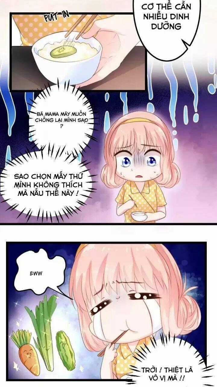 Bản Hợp Đồng Của Tổng Tài Lạnh Lùng Chapter 6 trang 1