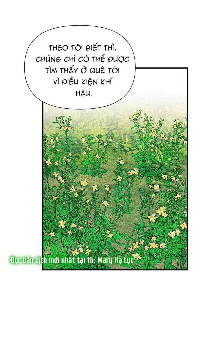 Bản Khế Ước Với Nữ Công Tước Ác Ma Chapter 103 trang 59