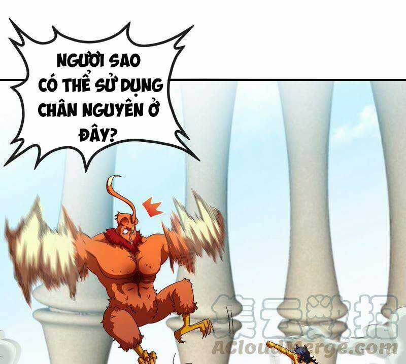 Bản Kiếm Tiên Tuyệt Không Làm Nô Chapter 24 trang 41