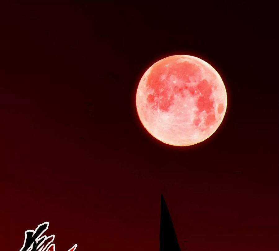 Bản Kiếm Tiên Tuyệt Không Làm Nô Chapter 63 trang 24