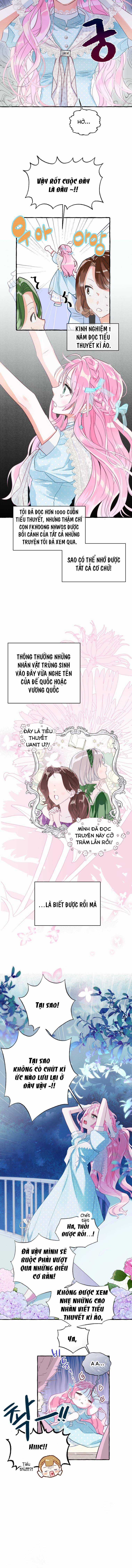 Bạn Sẽ Chết Nếu Không Biết Luật Tiểu Thuyết Chapter 1 trang 10