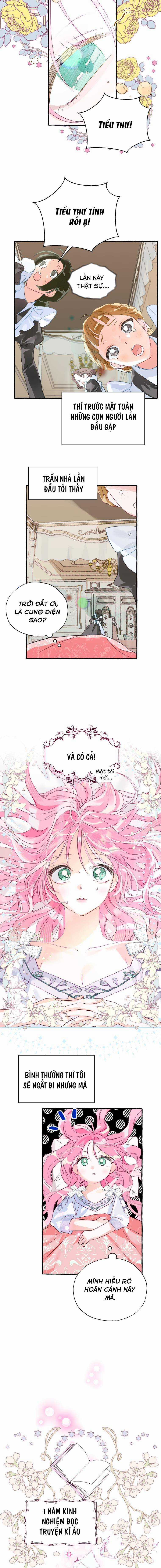 Bạn Sẽ Chết Nếu Không Biết Luật Tiểu Thuyết Chapter 1 trang 7