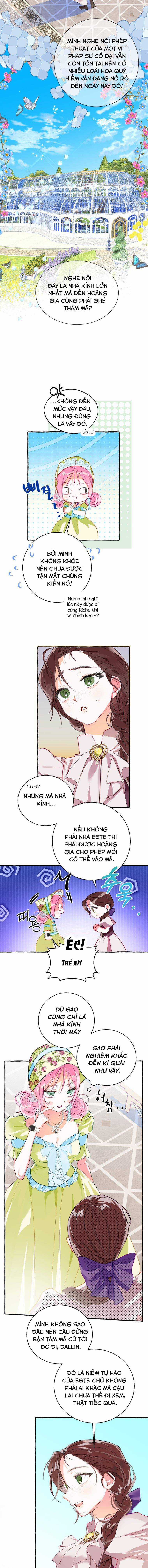 Bạn Sẽ Chết Nếu Không Biết Luật Tiểu Thuyết Chapter 3 trang 4