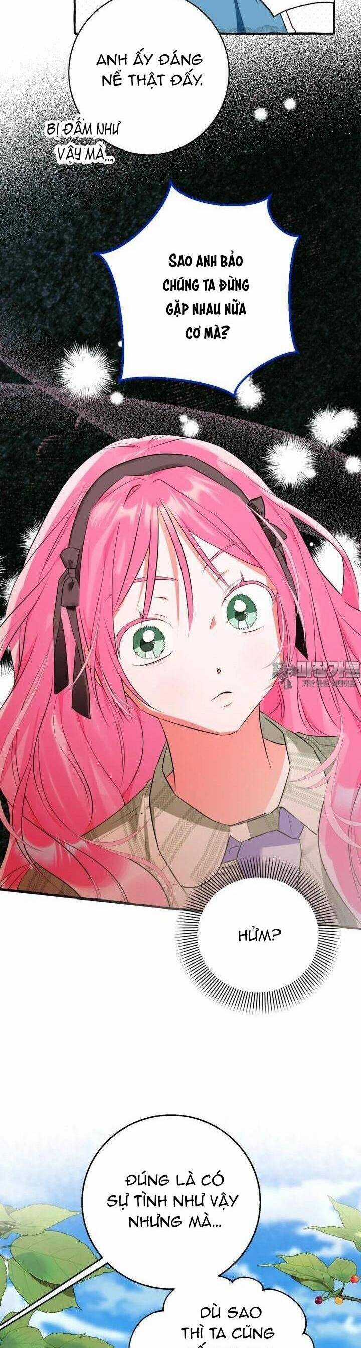 Bạn Sẽ Chết Nếu Không Biết Luật Tiểu Thuyết Chapter 31 trang 11