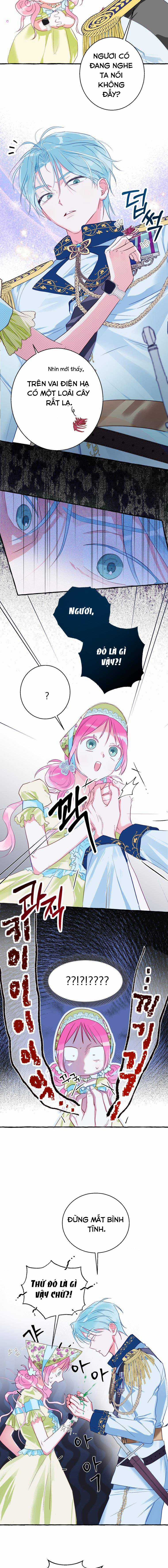 Bạn Sẽ Chết Nếu Không Biết Luật Tiểu Thuyết Chapter 5 trang 4