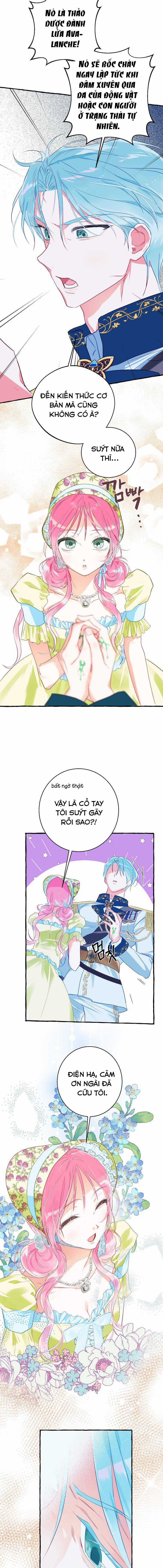 Bạn Sẽ Chết Nếu Không Biết Luật Tiểu Thuyết Chapter 5 trang 5