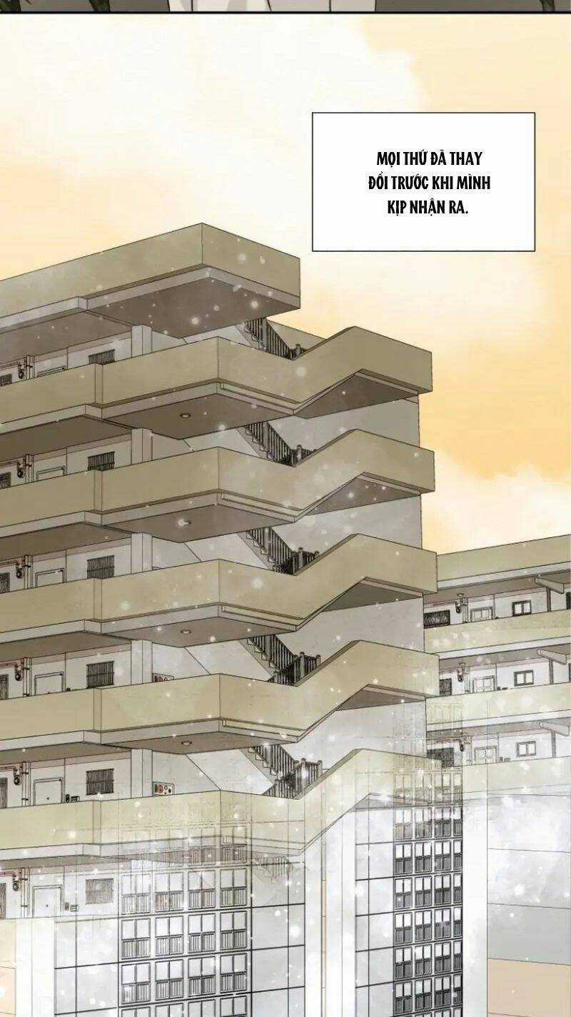 Bản Thiết Kế Vàng Chapter 2 trang 47