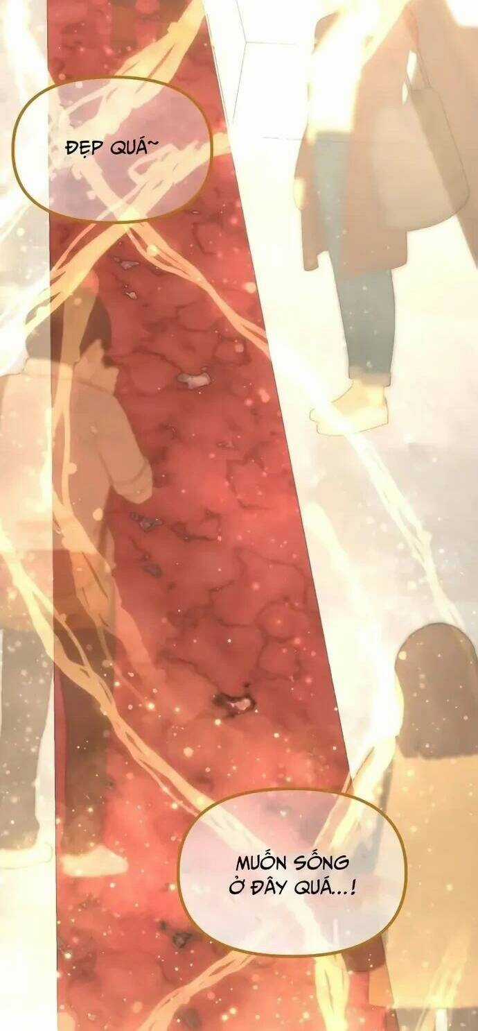 Bản Thiết Kế Vàng Chapter 24 trang 13