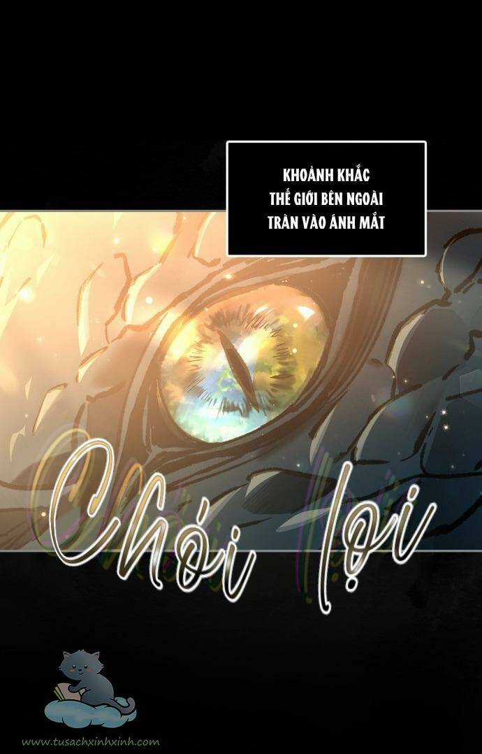 Bản Tình Ca Hy Lan Quốc Chapter 25 trang 11