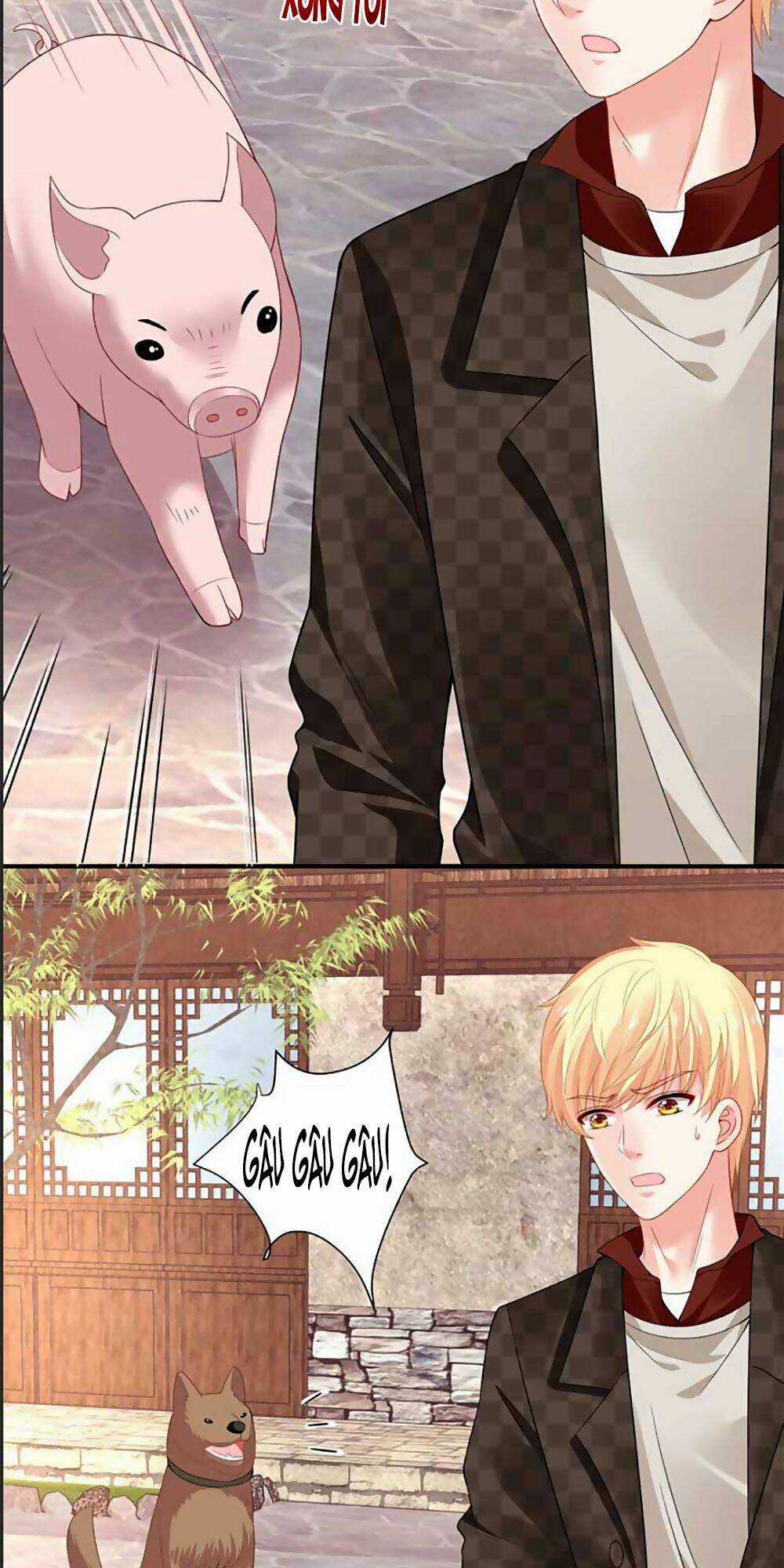 Bạn Trai 1/4 Của Tôi Chapter 41 trang 20