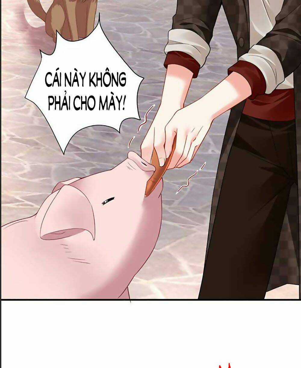 Bạn Trai 1/4 Của Tôi Chapter 41 trang 21