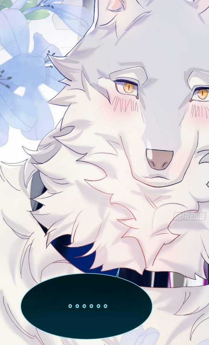 Bạn Trai Biến Dị Của Tôi!!! Chapter 2 trang 40