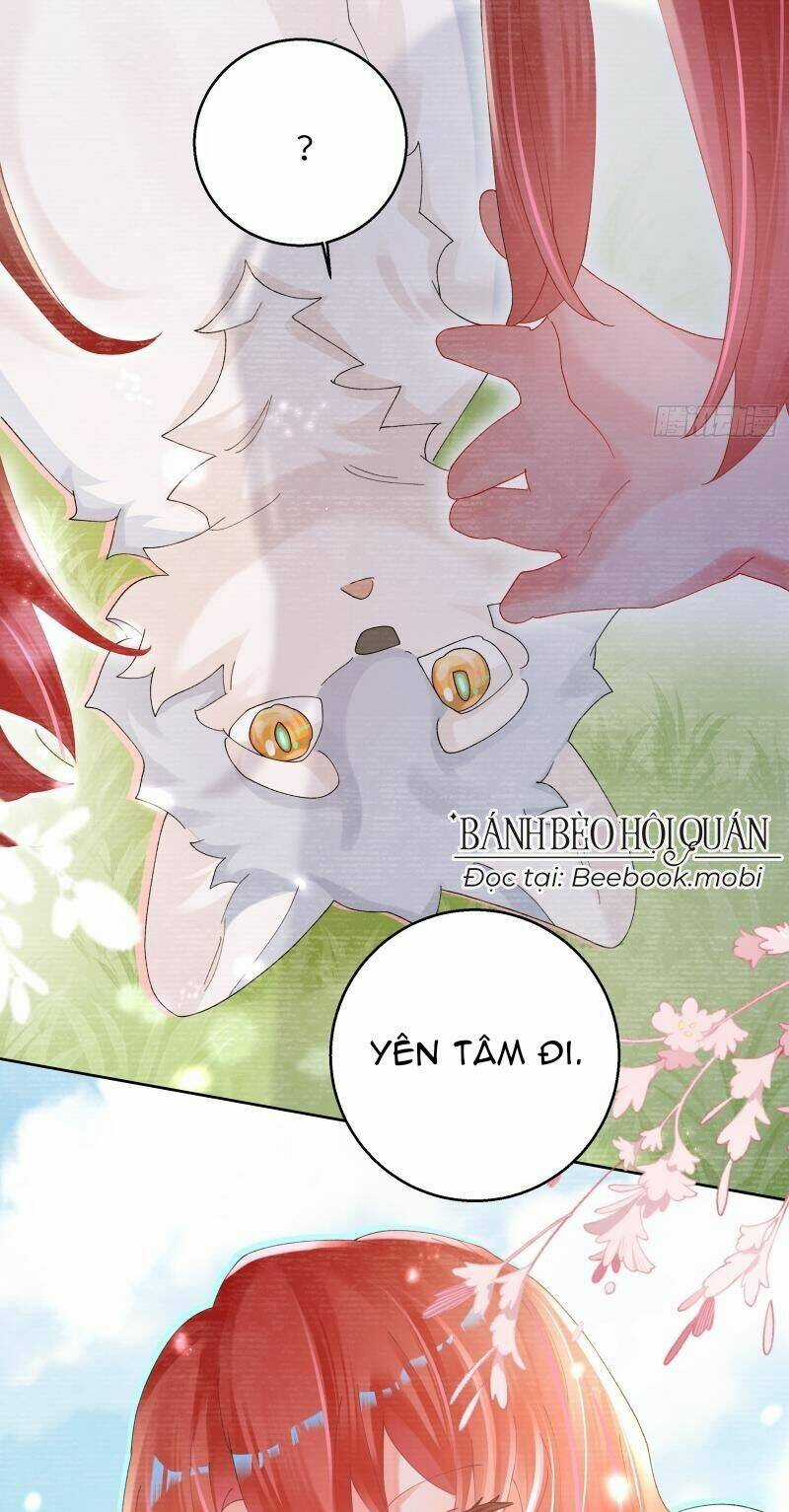 Bạn Trai Biến Dị Của Tôi!!! Chapter 8 trang 17