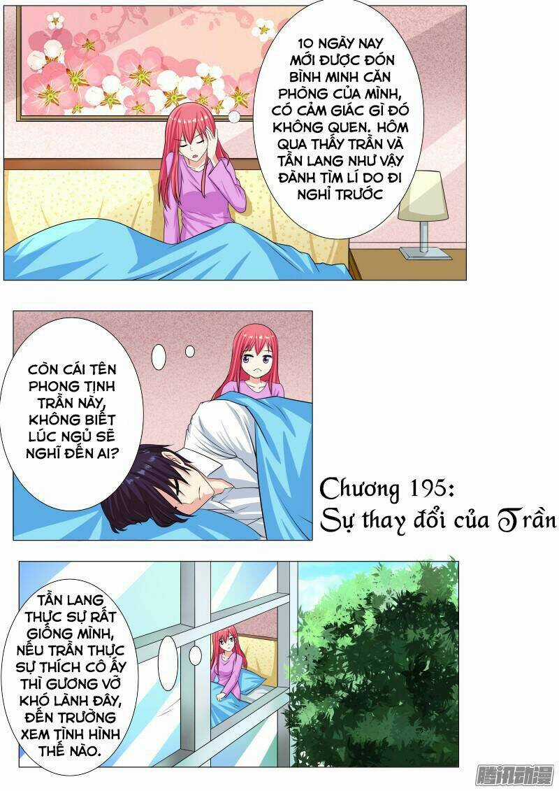 Bạn Trai Hắc Đạo Của Tôi Chapter 195 trang 0