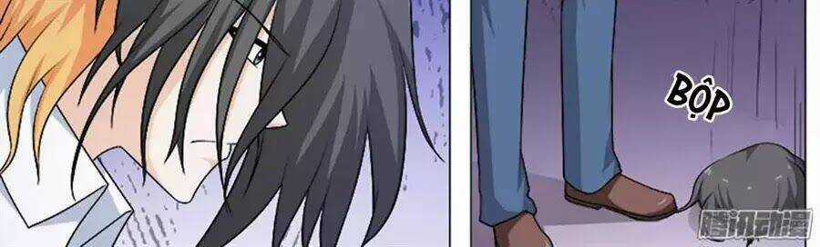 Bạn Trai Hắc Đạo Của Tôi Chapter 255 trang 13