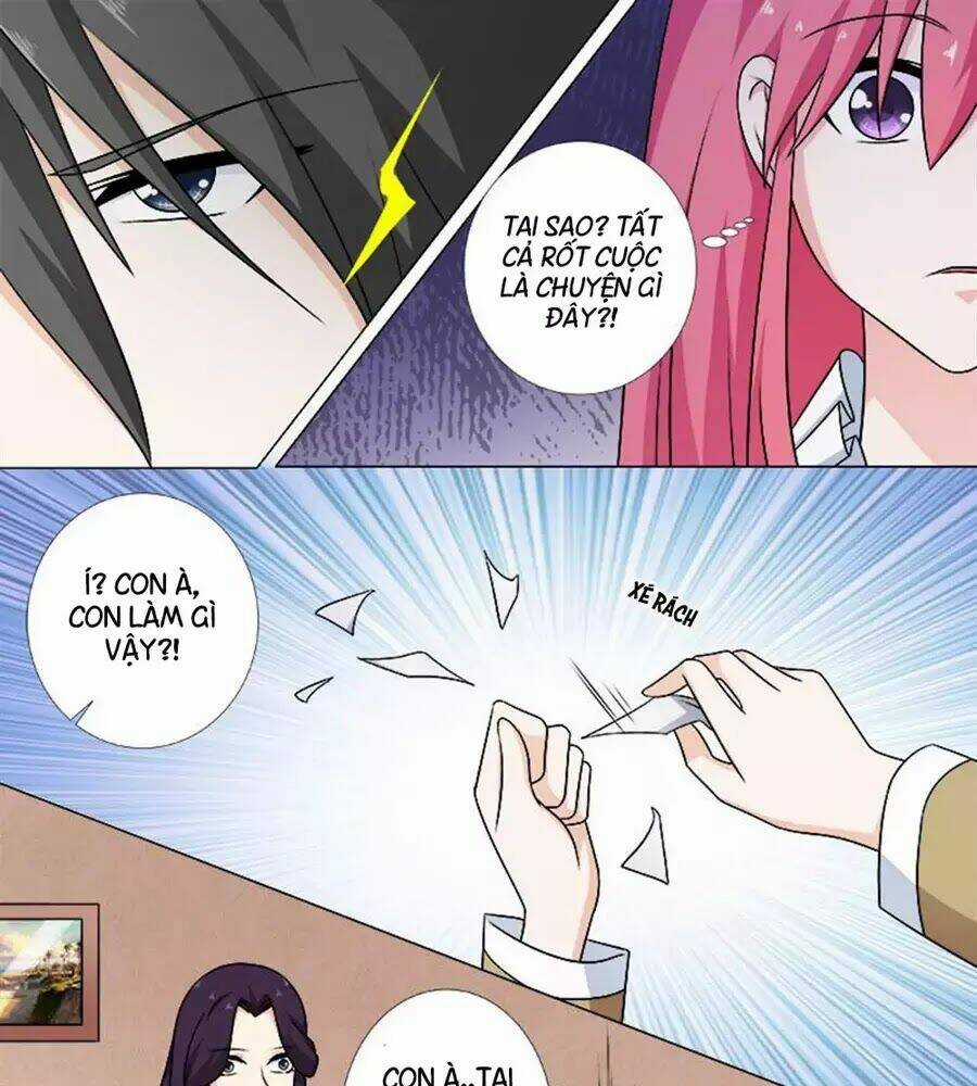 Bạn Trai Hắc Đạo Của Tôi Chapter 255 trang 8