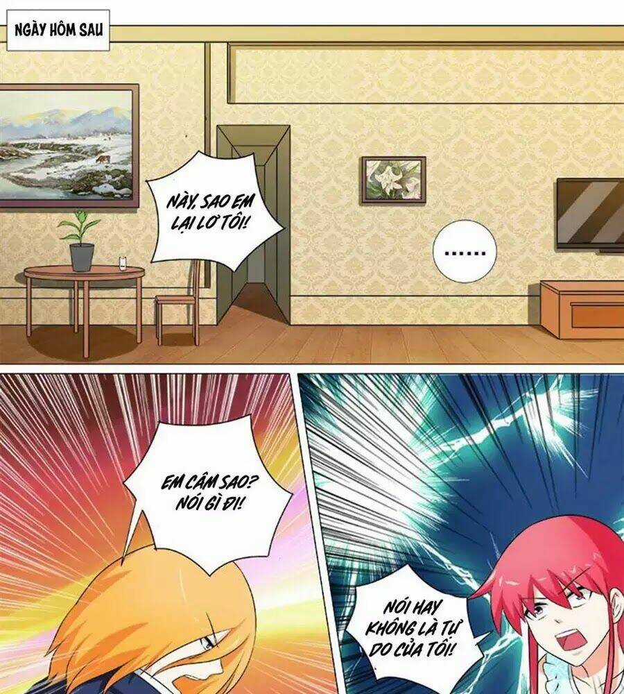 Bạn Trai Hắc Đạo Của Tôi Chapter 257 trang 8