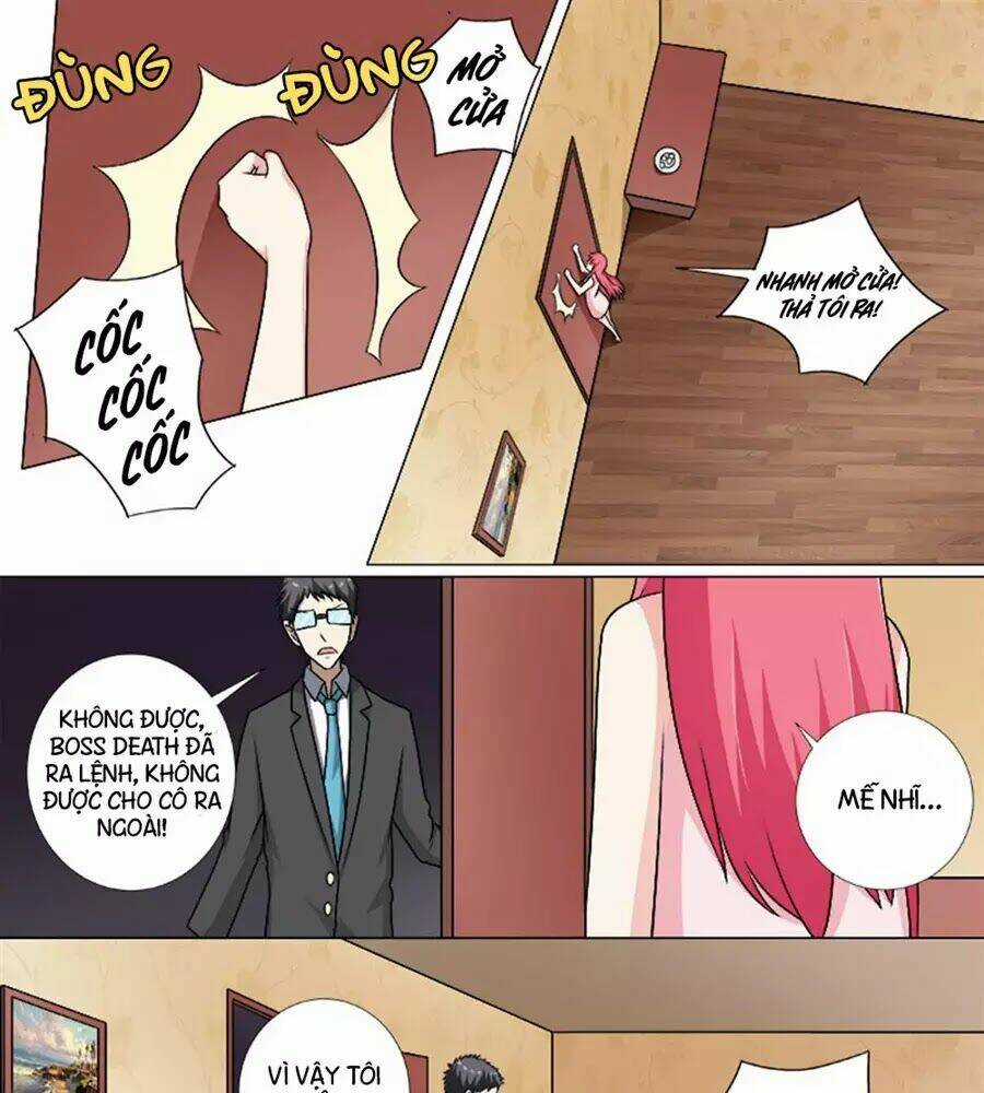 Bạn Trai Hắc Đạo Của Tôi Chapter 258 trang 8