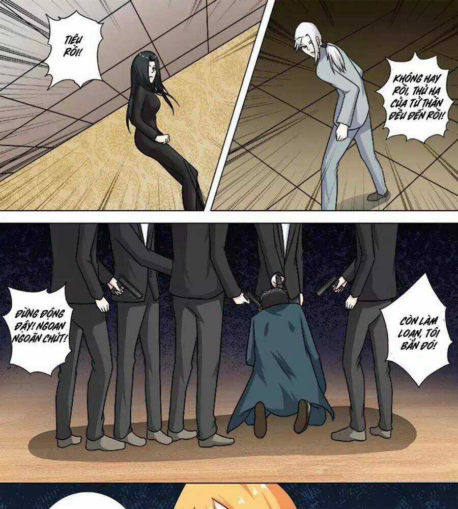 Bạn Trai Hắc Đạo Của Tôi Chapter 260 trang 12