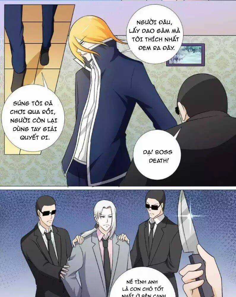 Bạn Trai Hắc Đạo Của Tôi Chapter 264 trang 2